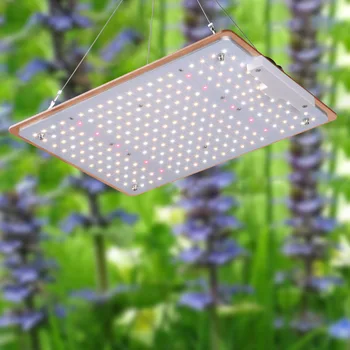2020 лучшие светодиодные лампы для выращивания и УФ-ИК комнатных растений, лампа для выращивания всего спектра, светодиодная лампа для выращивания растений cob gavita
