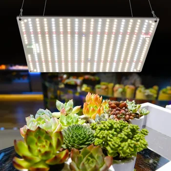 Samsung LED Grow LM281B полный спектр светодиодных ламп для выращивания 1000 Вт светодиодная фитолампа для Комнатных растений Цветов Семян теплицы Growe Tent